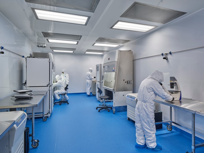 Cell-and-gene-therapy GMP cleanroom suite — operators in full cleanroom gowning working at biosafety cabinets in a Grade B background environment with Grade A critical zones.